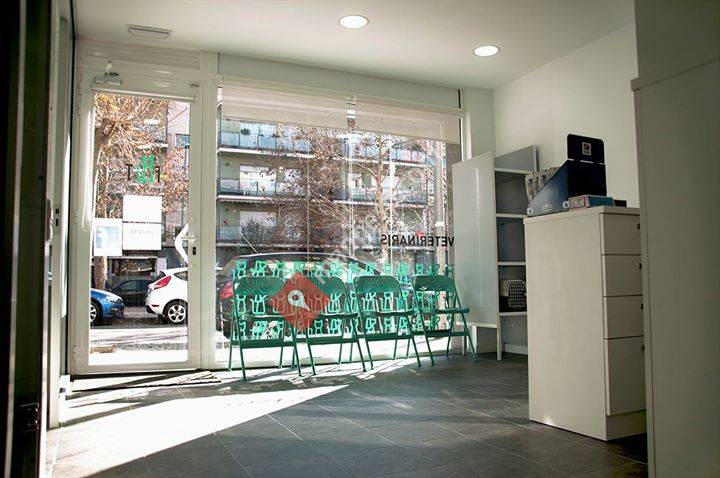 Fost Veterinaris