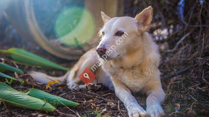 Fotografía y vídeo STardío
