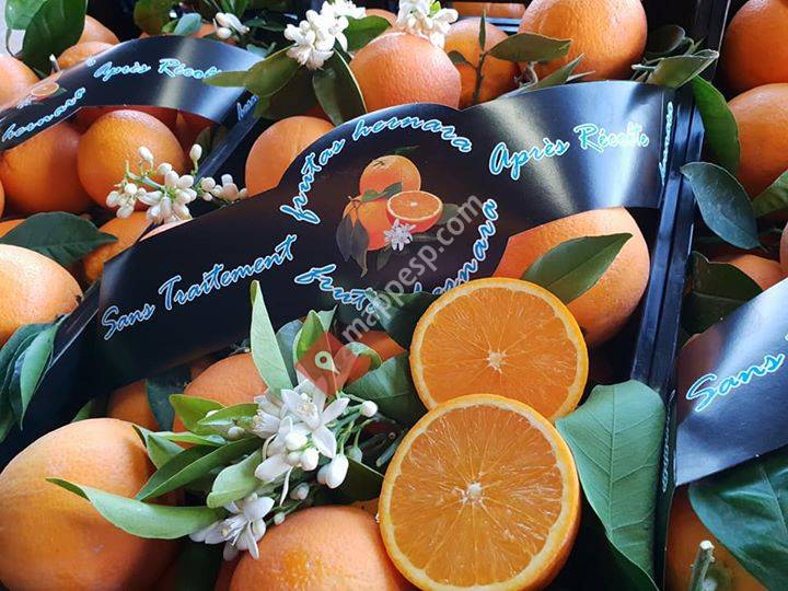 Frutas Hernara