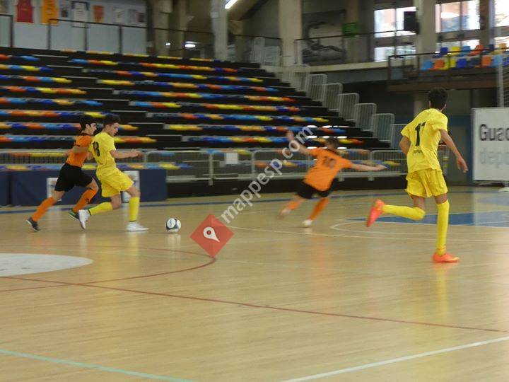 FS  Pozo de Guadalajara