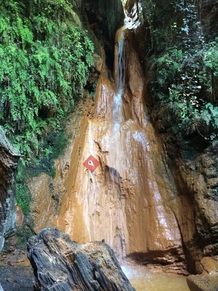 Fuente Agria