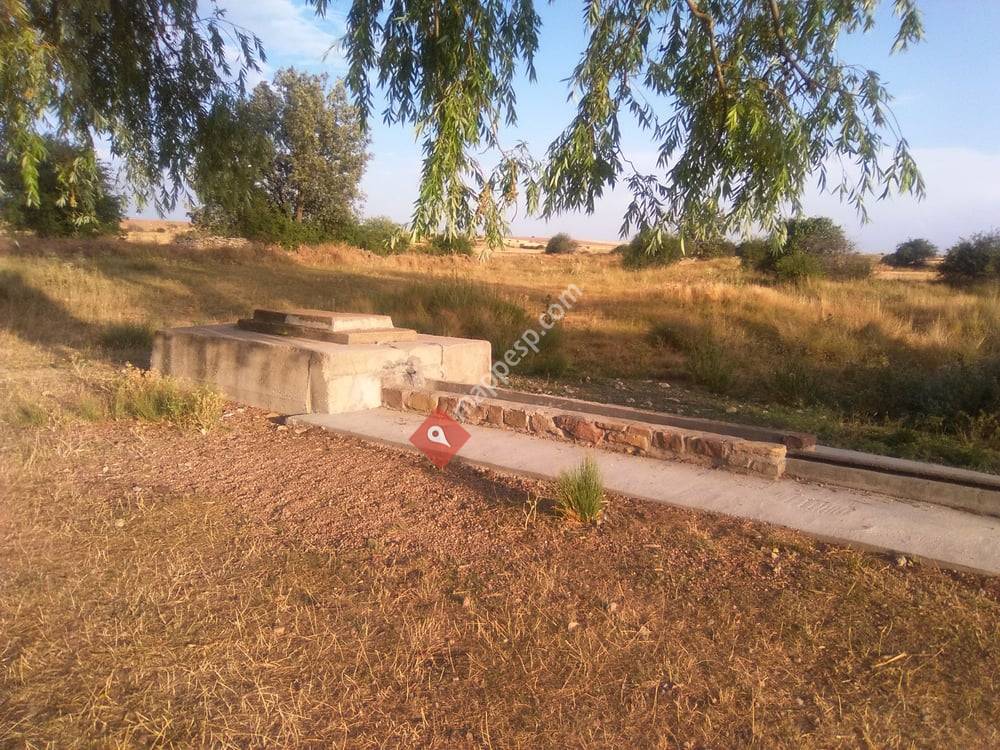Fuente del Ojo