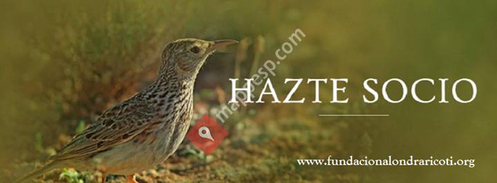 Fundación Alondra Ricotí - FAR