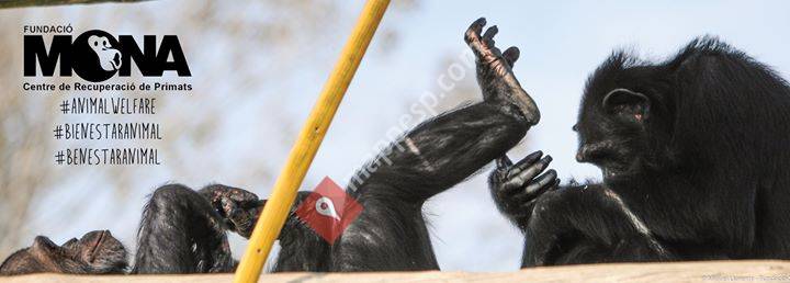 Fundación Mona - Primate Behaviour Research Unit