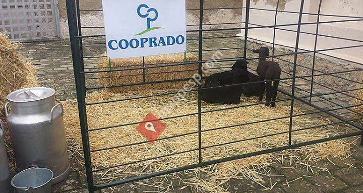 Fundacion Cooprado