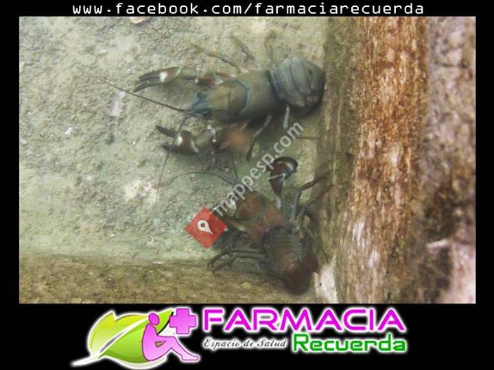 Galapagares, Castilla y León, Spain