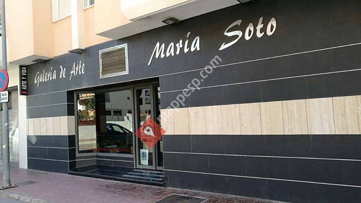 Galería María Soto