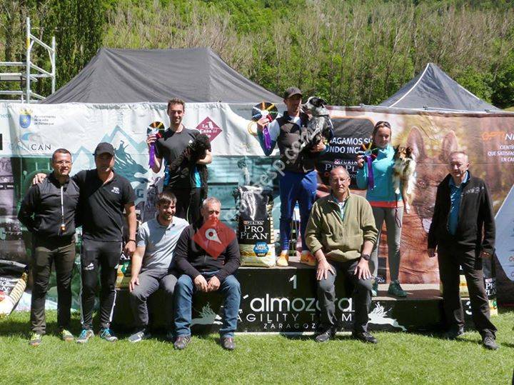Galican Agility Cup