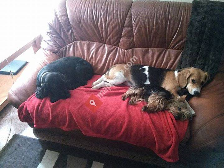 Galilea, La Rioja, Spain