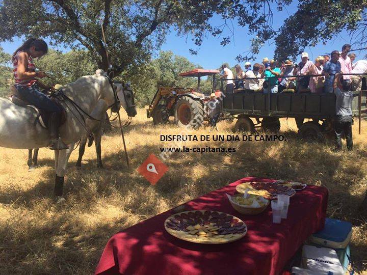 Ganadería Algarra. La Capitana