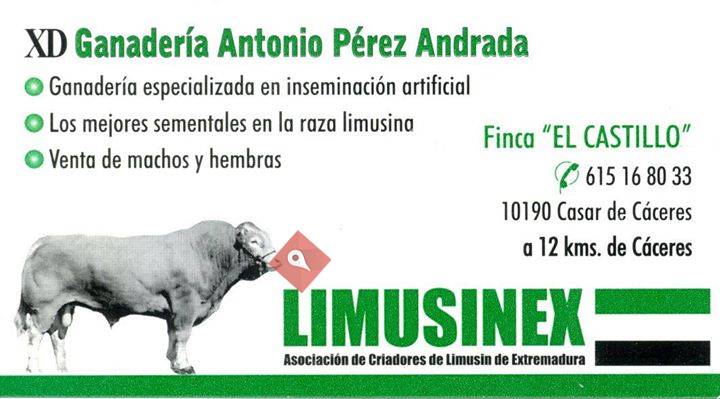 Ganadería Antonio Pérez Andrada