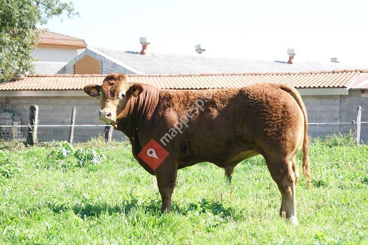 Ganadería Granja el Arenón