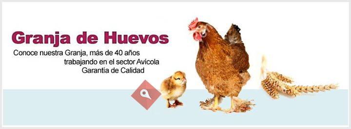 Granja de huevos, Huevosfrescos.es
