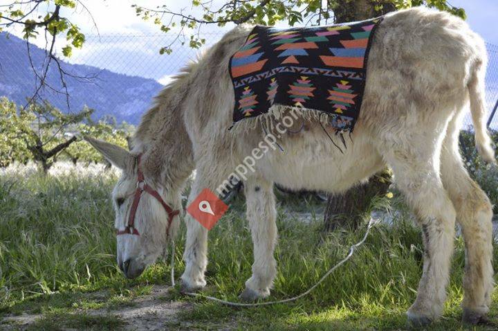 Granja escola, Riera d'Agres