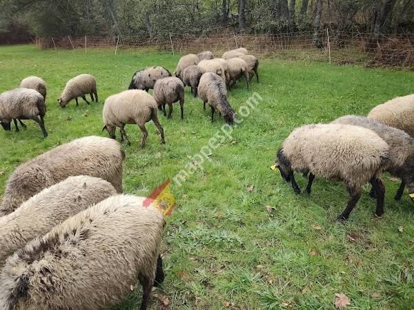 Granja Prados Montes