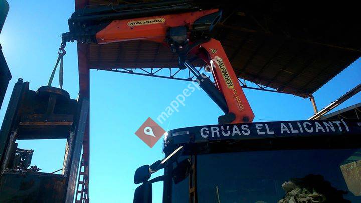 Gruas El Alicanti