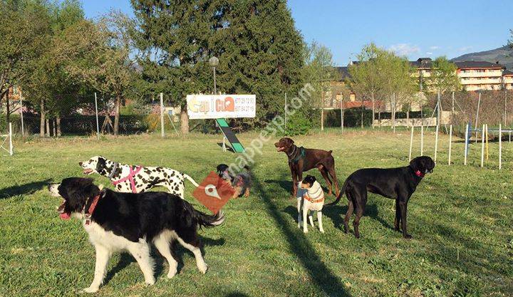 Grup CAP I CUA - Educació i Etologia Canina i Felina del Pirineu