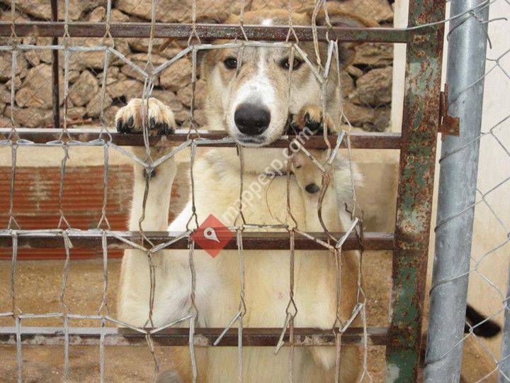 Hondon Valley Animal Rescue (HOVAR)