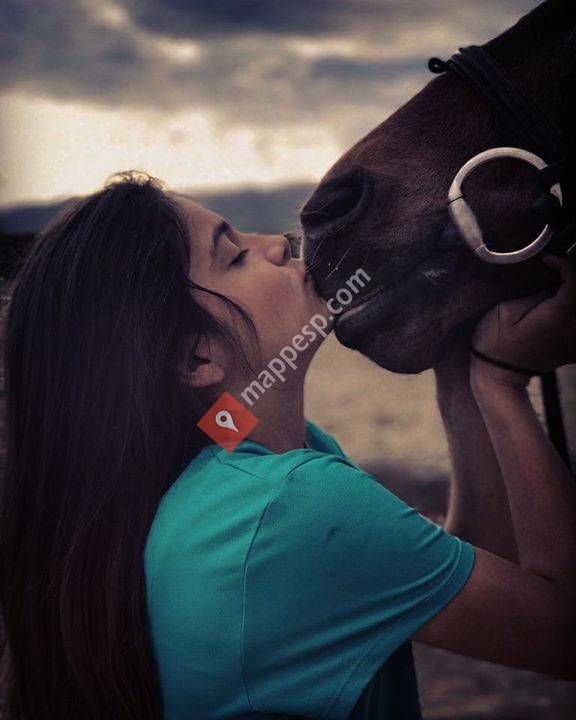 Horseback riding Barcelona