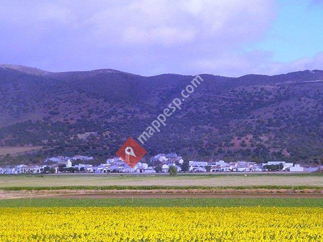 Hortícola Sierra, S.L Agricultura Ecológica