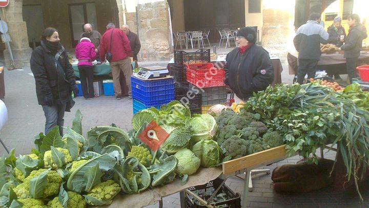 Hort ecologic Cal Macià