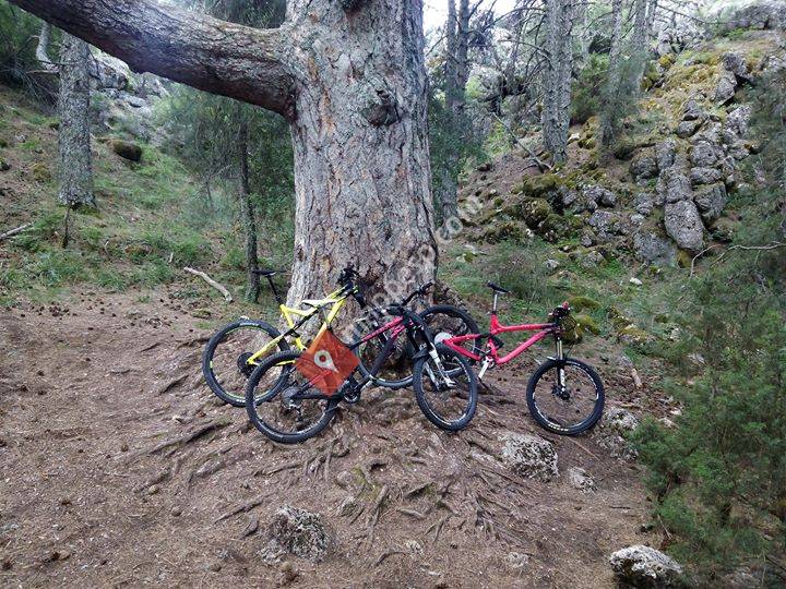Hospital Bike La Roda