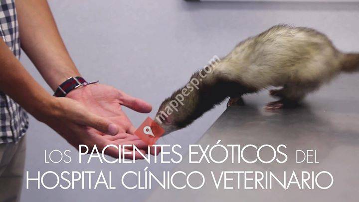 Hospital Clínico Veterinario CEU
