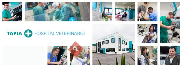 Hospital Veterinario Tapia