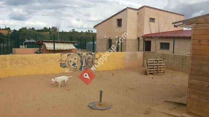 Hotel Canino Las Lomas