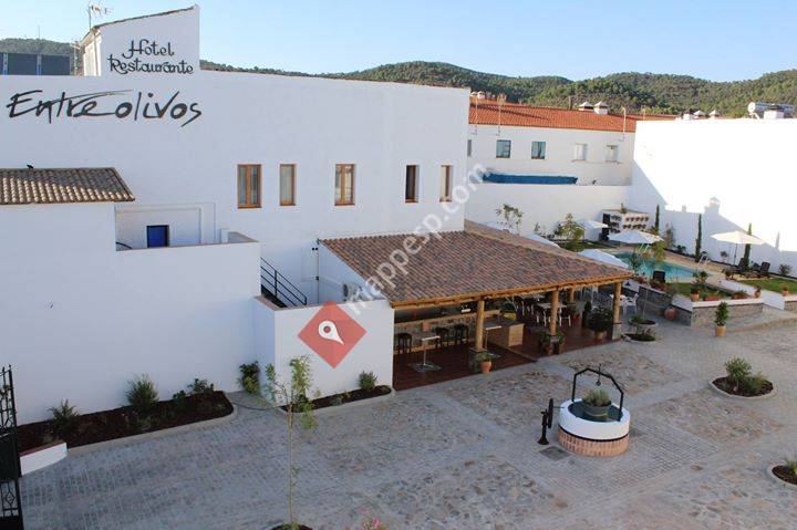 Hotel Entreolivos
