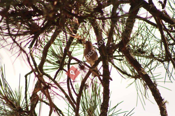 Huerta Del Rey, Castilla y León, Spain