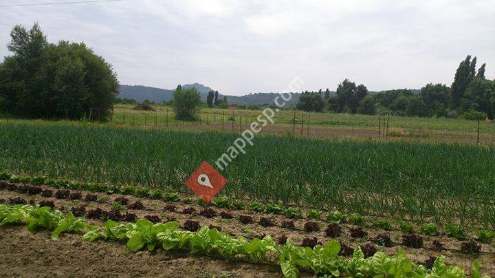 Huerto Ecológico La Pesquera