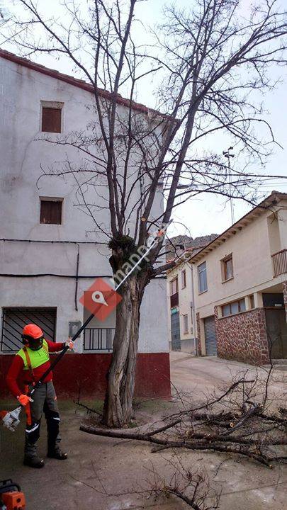 Huesa del Común