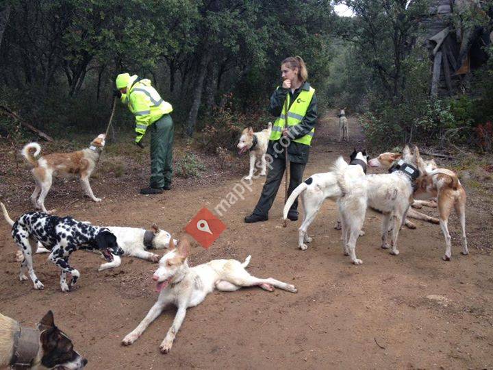 Hunting in Spain