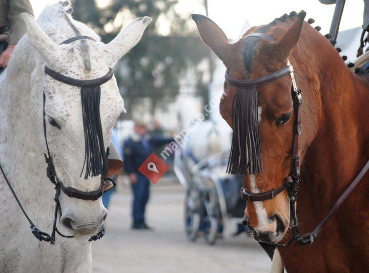 Ibercab Equitacion