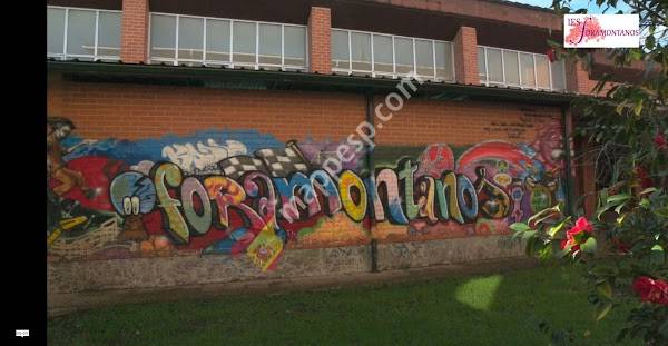 IES Foramontanos