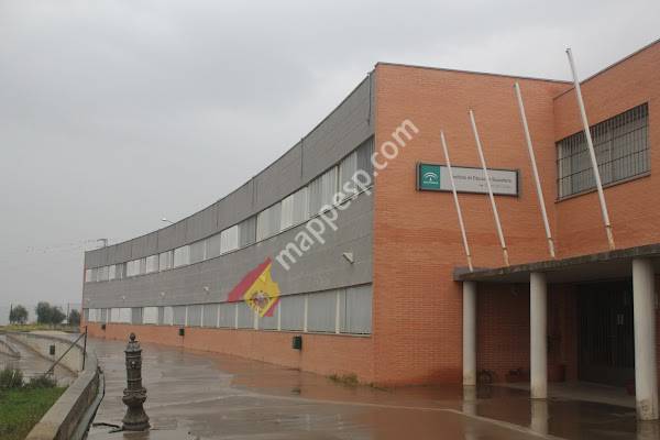 IES Virgen del Campo
