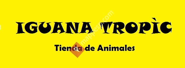 Iguana Tropic