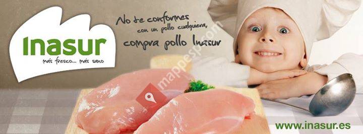 Inasur