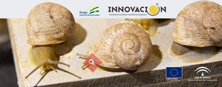 Innovación en Sistema de Alevinaje y Engorde de Caracoles