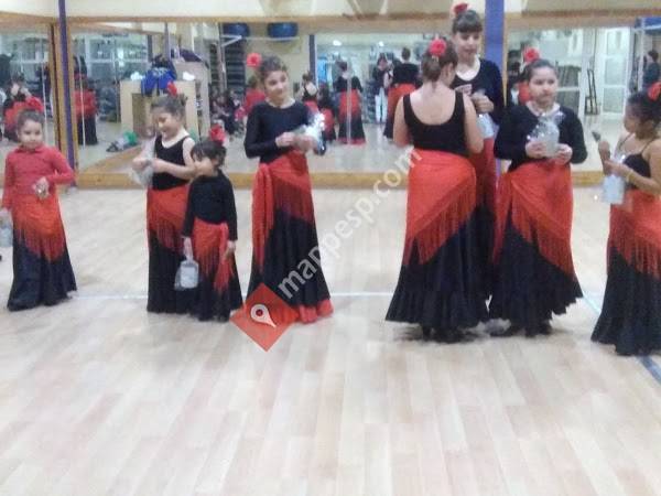 Instaladores Conservadores S L