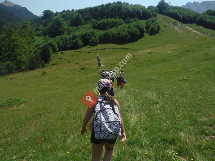 Isaba English Camp
