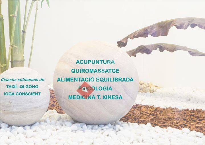 ISIceloni Institut de Salut Integral