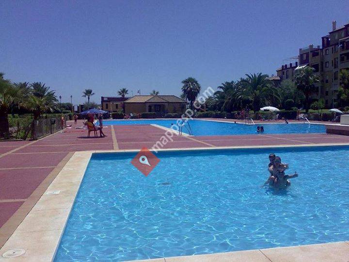 Isla Canela Alcaudon