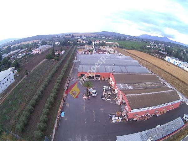 IX Álamos Torres S.L.