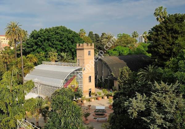 Jardí Botànic