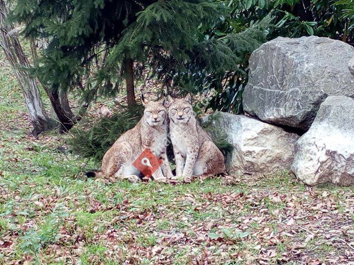 Karpin Centro de Acogida de Fauna