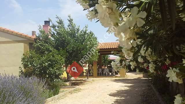 La Bodega del Abuelo