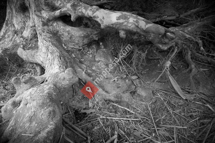 La Canonja 3 - Poble, paisatge i sostenibilitat