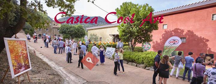La Casica Cool Art
